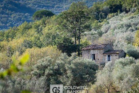 Herregård i Omignano, Salerno, Omignano - € 58 000 | Ref: CBI090-888-121 - foto 21
