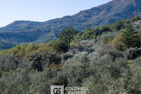 Herregård i Omignano, Salerno, Omignano - € 58 000 | Ref: CBI090-888-121 - foto 22