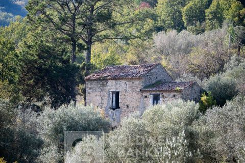 Herregård i Omignano, Salerno, Omignano - € 58 000 | Ref: CBI090-888-121 - foto 23