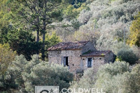 Herregård i Omignano, Salerno, Omignano - € 58 000 | Ref: CBI090-888-121 - foto 24