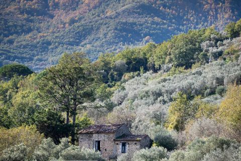 Herregård i Omignano, Salerno, Omignano - € 58 000 | Ref: CBI090-888-121 - foto 25