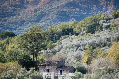 Herregård i Omignano, Salerno, Omignano - € 58 000 | Ref: CBI090-888-121 - foto 26