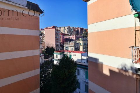 Lejlighed i Naples, Naples, Naples - € 490.000 | Ref: 64803 - foto 11