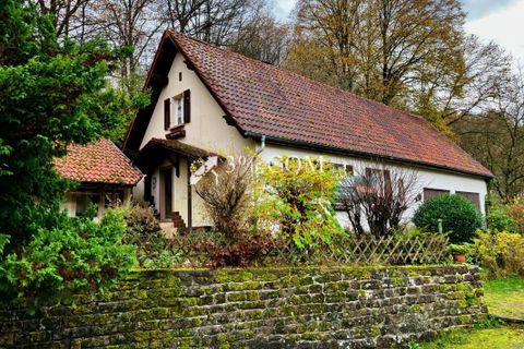 Landsbyhus i Roppeviller, Moselle, Roppeviller - € 79.000 | Ref: 293_V3770062243 - foto 3