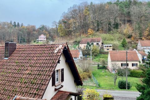 Landsbyhus i Roppeviller, Moselle, Roppeviller - € 79.000 | Ref: 293_V3770062243 - foto 4