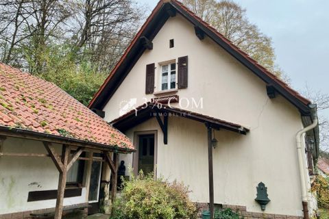 Landsbyhus i Roppeviller, Moselle, Roppeviller - € 79.000 | Ref: 293_V3770062243 - foto 5