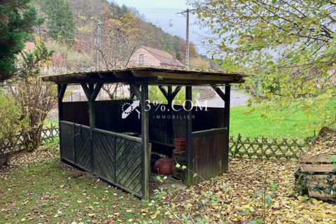 Landsbyhus i Roppeviller, Moselle, Roppeviller - € 79.000 | Ref: 293_V3770062243 - foto 16