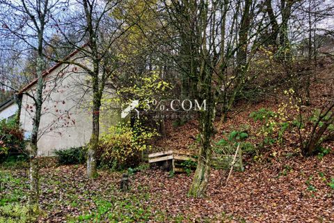 Landsbyhus i Roppeviller, Moselle, Roppeviller - € 79.000 | Ref: 293_V3770062243 - foto 19