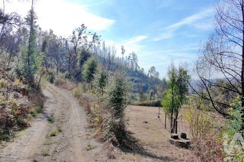 Helårsgrund i Gondomar, Porto, Gondomar - € 55.000 | Ref: 137110 - foto 4
