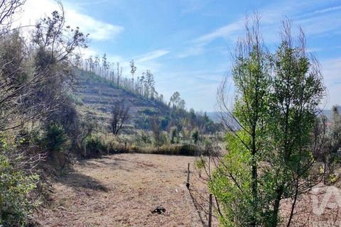 Helårsgrund i Gondomar, Porto, Gondomar - € 55.000 | Ref: 137110 - foto 5
