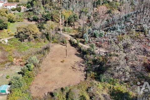 Helårsgrund i Gondomar, Porto, Gondomar - € 55.000 | Ref: 137110 - foto 6