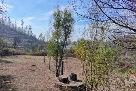 Helårsgrund i Gondomar, Porto, Gondomar - € 55.000 | Ref: 137110 - foto 11