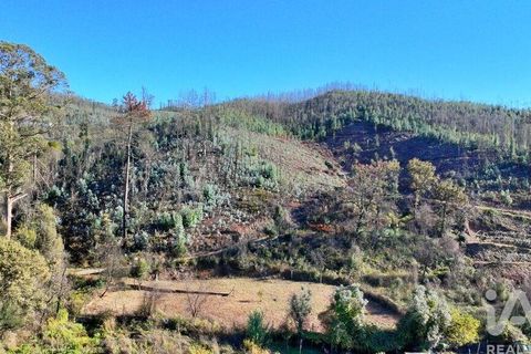 Helårsgrund i Gondomar, Porto, Gondomar - € 55.000 | Ref: 137110 - foto 14
