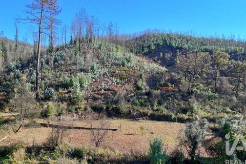 Helårsgrund i Gondomar, Porto, Gondomar - € 55.000 | Ref: 137110 - foto 22