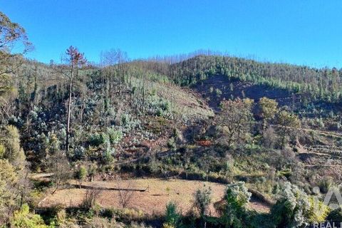 Helårsgrund i Gondomar, Porto, Gondomar - € 55.000 | Ref: 137110 - foto 25