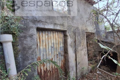 Villa i Barroca, Castelo Branco, Barroca - € 40.000 | Ref: 5859/CP - foto 35