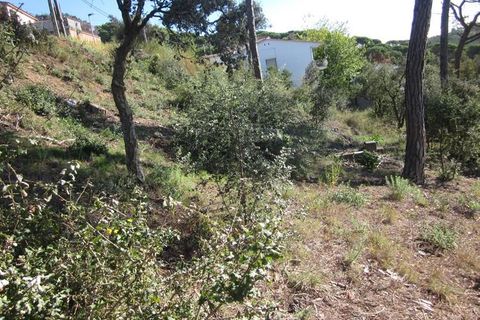 Tomt i Vidreres, Gerona, Vidreres - € 23 000 | Ref: TEL731 - foto 2