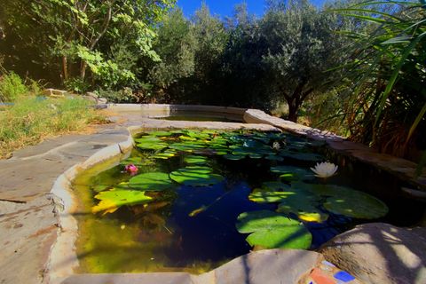 Landejendom i Orgiva, Granada, Orgiva - € 199.000 | Ref: OC567 - foto 20