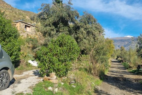 Landejendom i Orgiva, Granada, Orgiva - € 199.000 | Ref: OC567 - foto 22