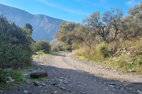 Landejendom i Orgiva, Granada, Orgiva - € 199.000 | Ref: OC567 - foto 21