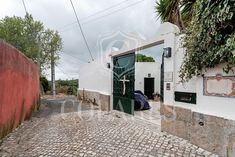 Villa a Sintra, Lisbon, Sintra - € 3.950/mes | Ref: 202511122 - foto 37