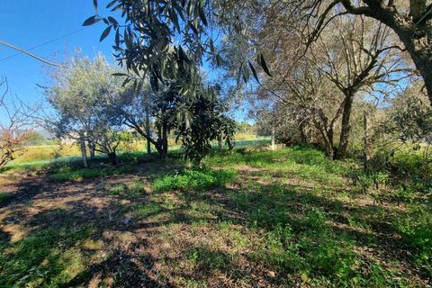 Villa i Nuxis, Sud Sardegna, Nuxis - € 159.000 | Ref: GT80 - foto 18