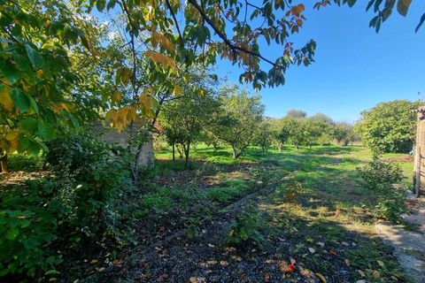 Villa i Nuxis, Sud Sardegna, Nuxis - € 159.000 | Ref: GT80 - foto 24