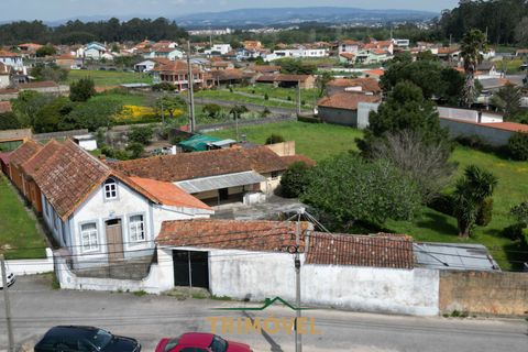 Villa a Estarreja, Aveiro, Estarreja - € 190.000 | Ref: TRI556-A - foto 2