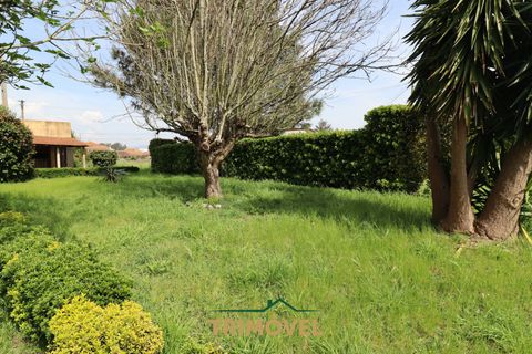 Villa a Estarreja, Aveiro, Estarreja - € 190.000 | Ref: TRI556-A - foto 13