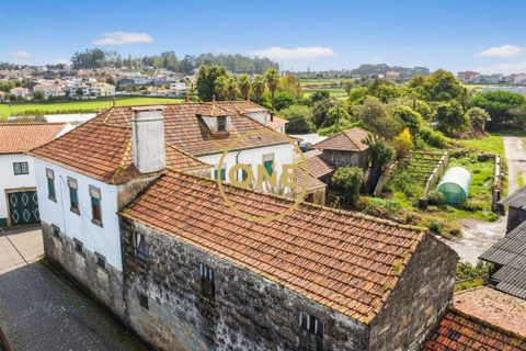 Farm i Maia, Porto, Maia - € 1.400.000 | Ref: ONE491638-3 - foto 3