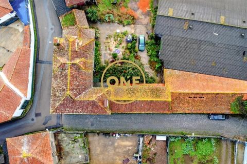 Farm i Maia, Porto, Maia - € 1.400.000 | Ref: ONE491638-3 - foto 13