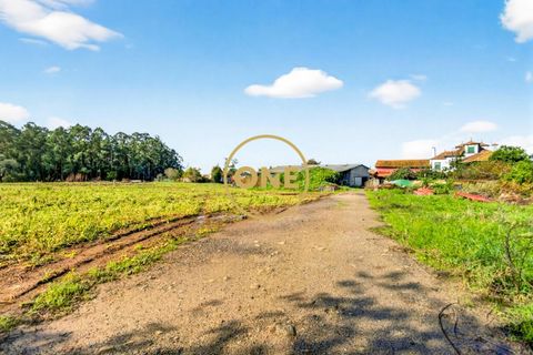 Farm i Maia, Porto, Maia - € 1.400.000 | Ref: ONE491638-3 - foto 14