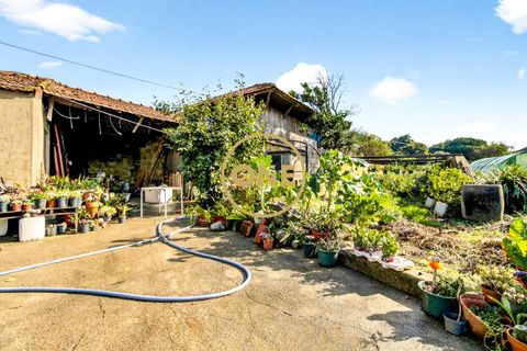 Farm i Maia, Porto, Maia - € 1.400.000 | Ref: ONE491638-3 - foto 15