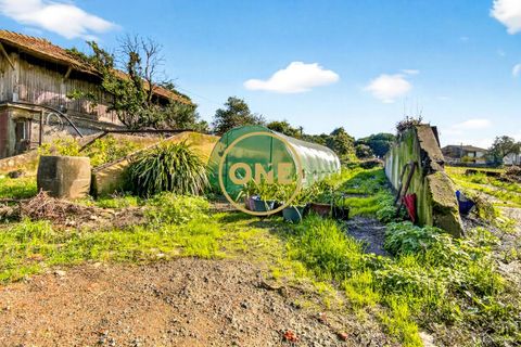 Farm i Maia, Porto, Maia - € 1.400.000 | Ref: ONE491638-3 - foto 16