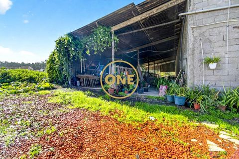 Farm i Maia, Porto, Maia - € 1.400.000 | Ref: ONE491638-3 - foto 17
