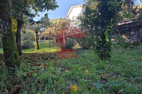 Helårsgrund i Vila Verde, Braga, Vila Verde - € 55.000 | Ref: 08739 - foto 3