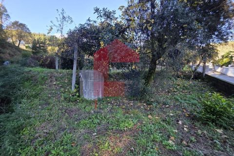 Helårsgrund i Vila Verde, Braga, Vila Verde - € 55.000 | Ref: 08739 - foto 4