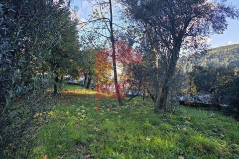 Helårsgrund i Vila Verde, Braga, Vila Verde - € 55.000 | Ref: 08739 - foto 13