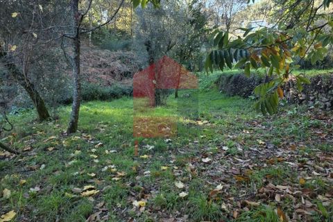 Helårsgrund i Vila Verde, Braga, Vila Verde - € 55.000 | Ref: 08739 - foto 16