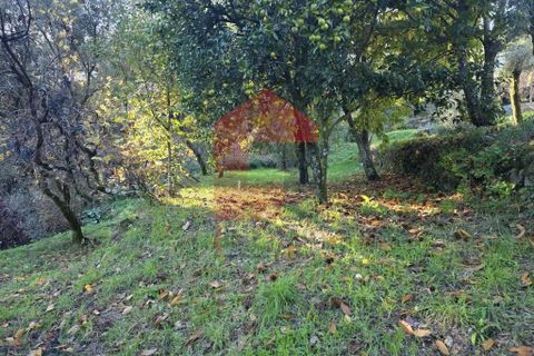 Helårsgrund i Vila Verde, Braga, Vila Verde - € 55.000 | Ref: 08739 - foto 18