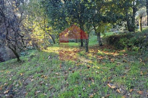 Helårsgrund i Vila Verde, Braga, Vila Verde - € 55.000 | Ref: 08739 - foto 19