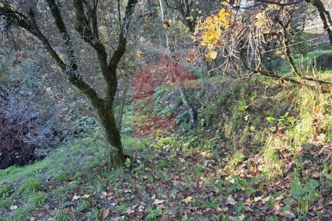Helårsgrund i Vila Verde, Braga, Vila Verde - € 55.000 | Ref: 08739 - foto 23