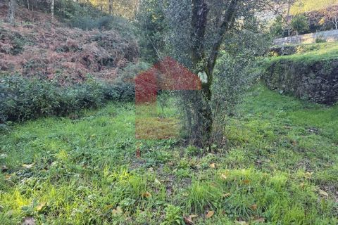Helårsgrund i Vila Verde, Braga, Vila Verde - € 55.000 | Ref: 08739 - foto 24