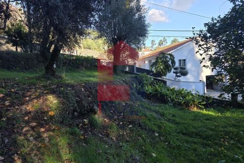 Helårsgrund i Vila Verde, Braga, Vila Verde - € 55.000 | Ref: 08739 - foto 26