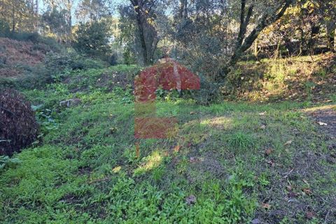 Helårsgrund i Vila Verde, Braga, Vila Verde - € 55.000 | Ref: 08739 - foto 29