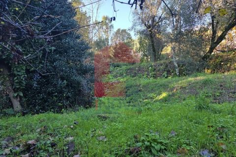 Helårsgrund i Vila Verde, Braga, Vila Verde - € 55.000 | Ref: 08739 - foto 30