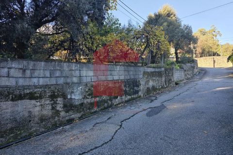 Helårsgrund i Vila Verde, Braga, Vila Verde - € 55.000 | Ref: 08739 - foto 35