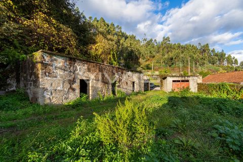 Villa i Vila Verde, Braga, Vila Verde - € 139.000 | Ref: 01-3719 - foto 4