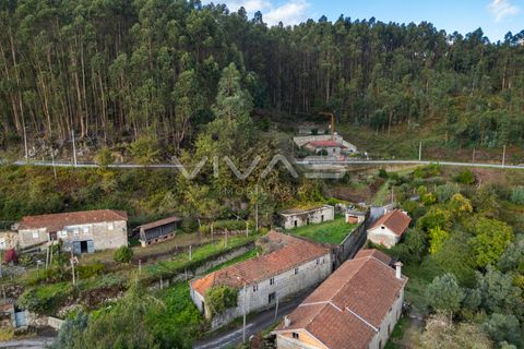 Villa i Vila Verde, Braga, Vila Verde - € 139.000 | Ref: 01-3719 - foto 12