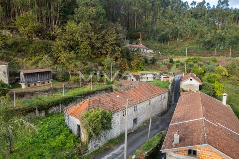 Villa i Vila Verde, Braga, Vila Verde - € 139.000 | Ref: 01-3719 - foto 14